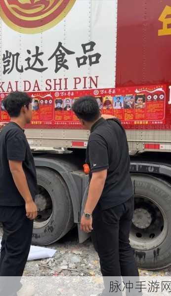 911红领巾爆料吃瓜回家的路：红领巾爆料事件背后：吃瓜群众的回家之路探秘