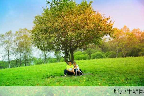 ZoomkooL牧场视频精彩集锦：“ZoomkooL牧场视频精彩集锦：畅游自然与欢乐时光”