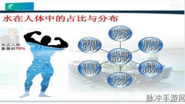 宿主需要jy才能变美：如何通过jy实现宿主的美丽蜕变与自我提升