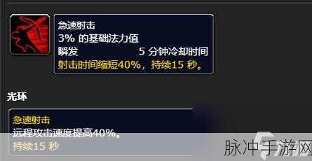 魔兽世界wlk生存猎人输出循环宏：魔兽世界WLK生存猎人高效输出循环宏详解与优化策略