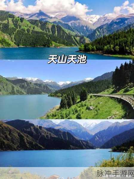 新疆XXXXXL：新疆的壮丽风光与多样文化探索之旅