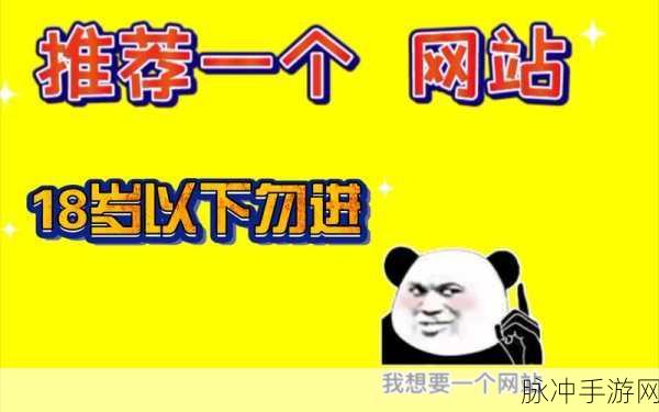 十八禁网站推荐：推荐几款适合成人的高品质网站探索与体验