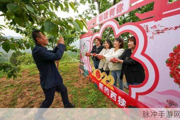 樱桃视频直播：畅享樱桃视频直播，体验无限精彩与乐趣！