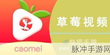 草莓视频破解：探索草莓视频破解的全新方法与技巧分享