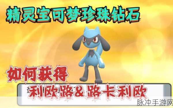 宝可梦钻石珍珠复刻：宝可梦：重温钻石与珍珠的奇幻旅程