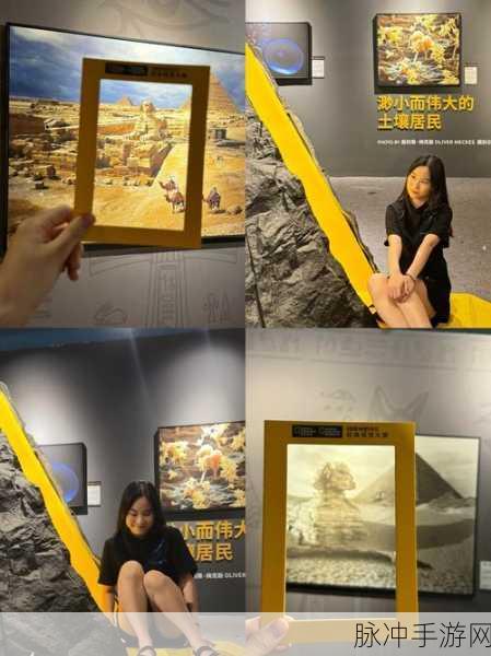 大地中文在线观看免费高清电视剧：拓展大地：探索未知世界的高清精彩电视剧