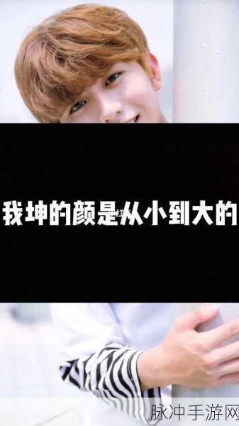 坤坤射了：坤坤射了：探寻青春成长与梦想追逐的故事