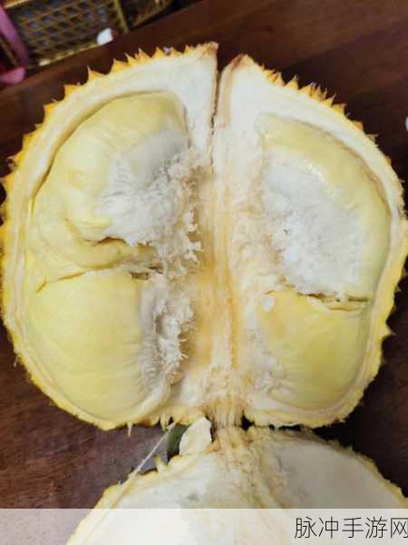 开元榴莲视频看完让你流连忘返游戏：榴莲视频全新体验：让你流连忘返的精彩游戏之旅