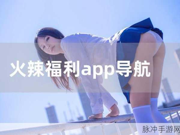 大菠萝福建导航APP：全面提升大菠萝福建导航APP的使用体验与功能探索