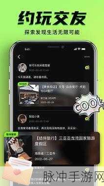 9.1.破解版.apk：拓展9.1破解版：畅享无限功能与精彩体验