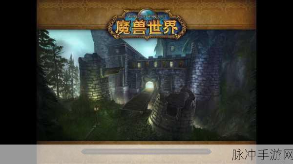 魔兽世界中级怎么学：魔兽世界中级技巧与策略全面解析