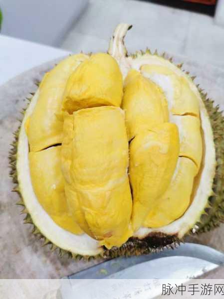榴莲视频男女：榴莲美食探秘：男女共同品尝奇妙的热带风味之旅