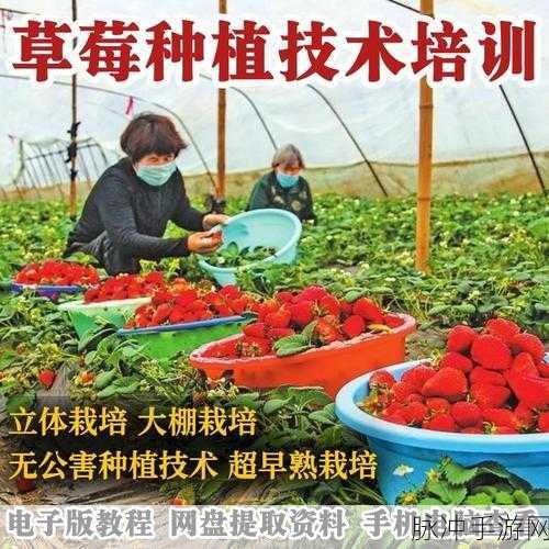 草莓小视频：如何在家轻松种植美味草莓的小技巧与视频分享