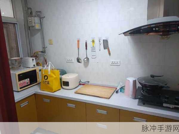 厨房一路干到卧室：从厨房到卧室，探索家居生活的每一个角落与乐趣