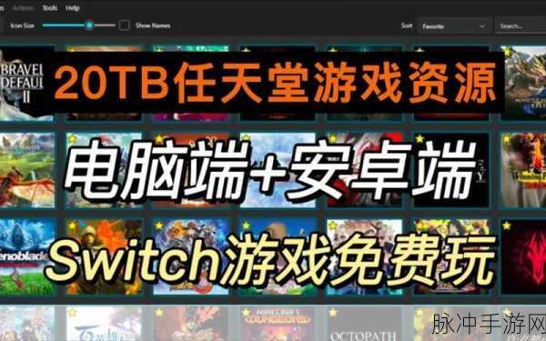 a√任天堂资源中文：“全方位了解任天堂：游戏、角色与经典历史探索”