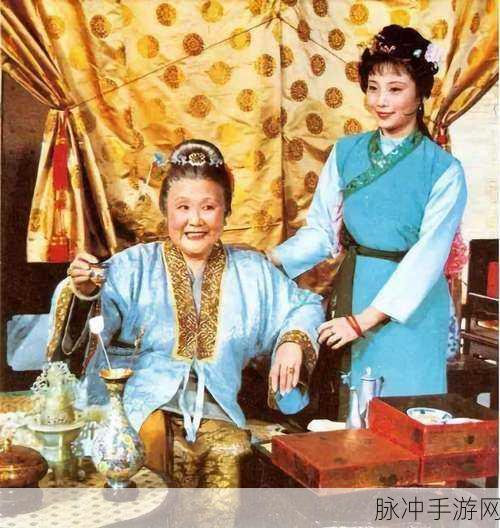 几个老爷弄一个丫头：几位老爷争宠，丫头成了风云人物的故事