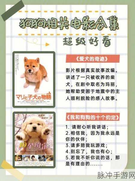 女孩把第一次给了狗：女孩与她的爱犬之间不可思议的秘密故事
