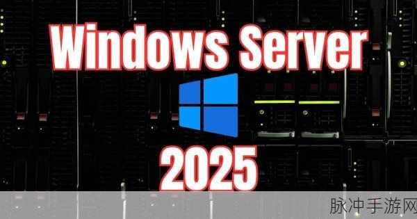 日本windowsserver高精度：全面提升日本Windows Server高精度性能的优化策略与应用