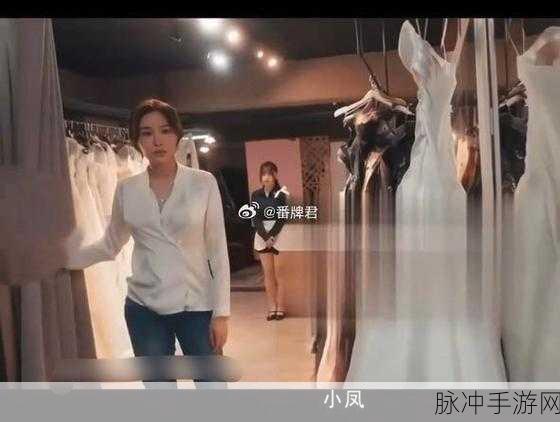 致敬八零年代苏语棠：致敬八零年代：苏语棠的青春岁月与梦想追寻