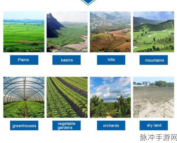hp公交车灌溉系：“探索HP公交车灌溉系统的创新应用与发展前景”