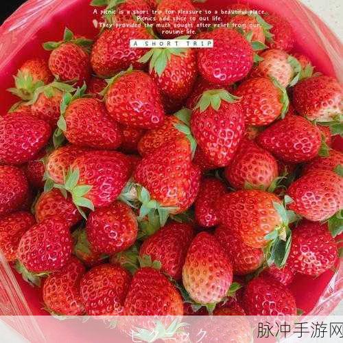 草莓黄色视频：探寻草莓的甜蜜秘密：黄色视频带你走进美味世界！