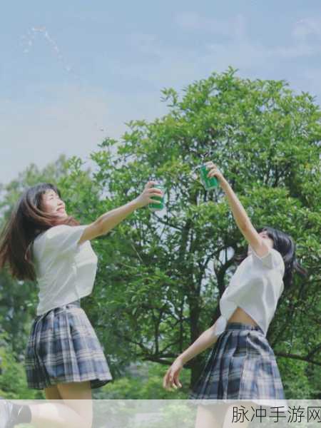 衬衫里的小白兔蹦来蹦去：在衬衫的口袋里，小白兔欢快地蹦来蹦去。