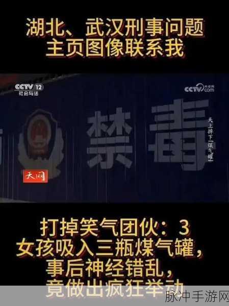 八卦有理爆料无罪红领巾：八卦有理，爆料无罪：红领巾下的秘密与真相