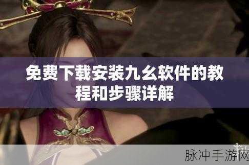 九幺高危风险安装：深入分析九幺高危风险安装的影响与应对策略