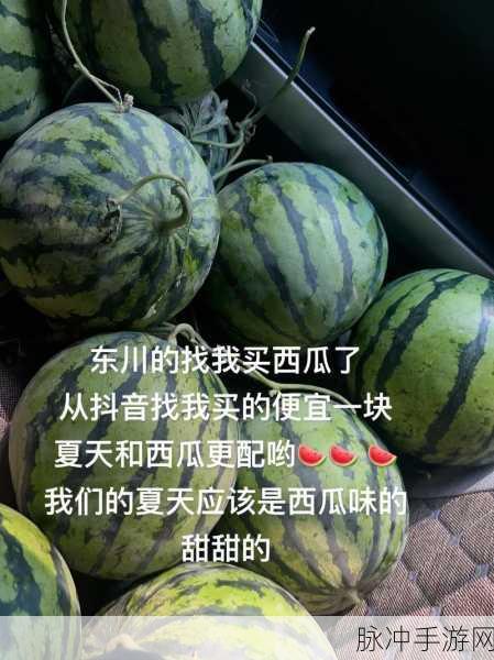 51今日大瓜热门大瓜往期内容：“揭秘51今日大瓜：精彩热门内容与往期回顾全在这里！”