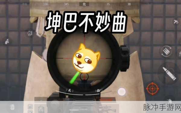 把坤巴插入桃子里：将坤巴巧妙融入桃子中，创造美味新体验