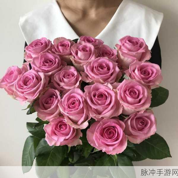 桃红色jeep界人口的功能介绍：桃红色Jeep界人口的多功能扩展介绍与应用场景分析
