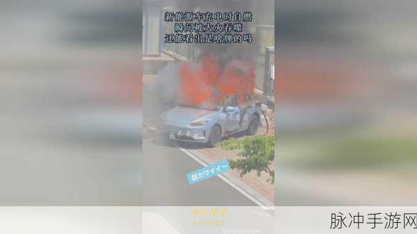 17.c 一起草 国：共创繁荣未来：携手推动国家发展新篇章