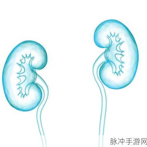 夜间禁用的十大黄台：夜间禁用的十大黄台，深度解析其背后原因与影响