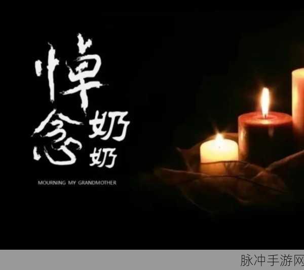 grandmother50：奶奶的智慧：传承与爱的故事，温暖人心的记忆
