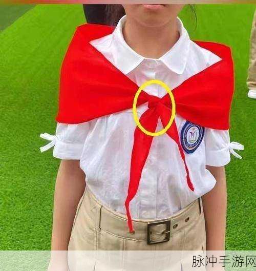 红领巾爆料网：红领巾在线爆料平台：揭开校园内幕的秘密通道