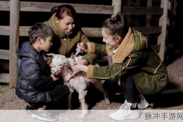 床上动作真人秀拔萝卜：探索床上乐趣：奇妙的拔萝卜真人秀大赛