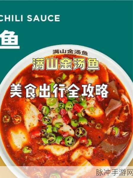 辣味狼排图纸哪里买：在哪里可以购买拓展辣味狼排的图纸和材料？