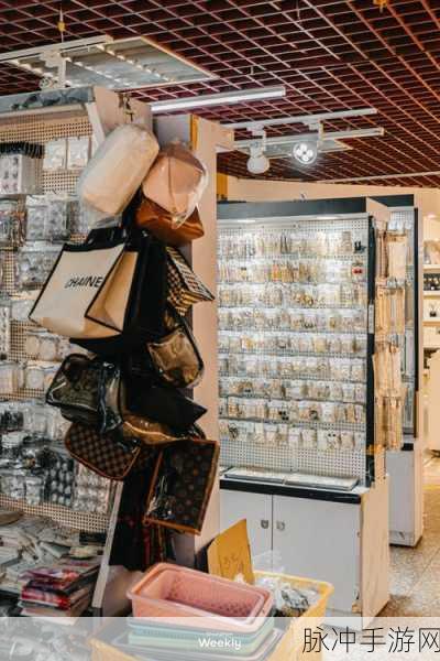 小扫货怎么能夹：“如何通过拓展小扫货提升购物体验与效率”