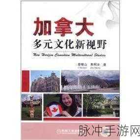 坤巴塞进去：“拓展坤巴塞：探索多元文化与商业机遇的新视野”