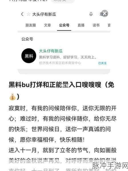 黑料不打烊最新：黑料不打烊：揭秘娱乐圈背后的隐秘故事与真相