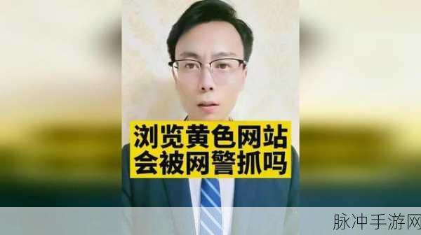 成人夜间小视频网站：夜间放松乐园：探索成人小视频网站的独特魅力与体验
