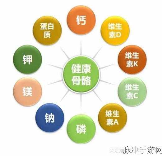 钙片网站：全面提升骨骼健康的优质钙片，助力您活出精彩人生