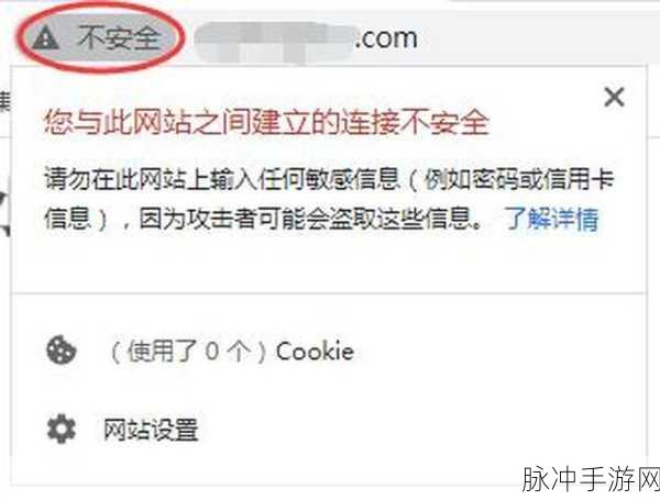 不良网站窗口直接进入：警惕不良网站：拓展窗口进入可能带来的风险与后果