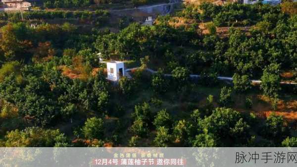蜜柚直播免费观看视频：畅享蜜柚直播精彩瞬间，带你领略无限魅力！
