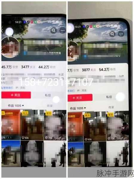 9幺抖音版：拓展9幺抖音版：让你的短视频更具创意与吸引力！