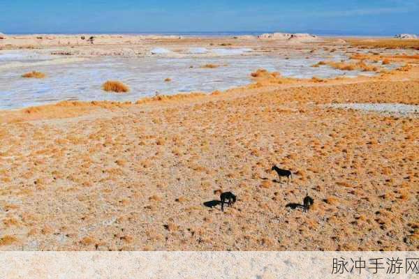 免费无人区一码二码乱码：破解免费无人区一码二码乱码的全新方法与技巧