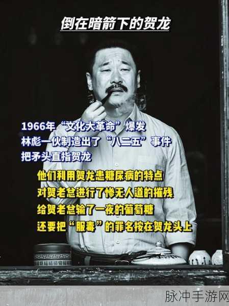 51免费爆料：全面揭秘51免费爆料背后的真相与内幕故事