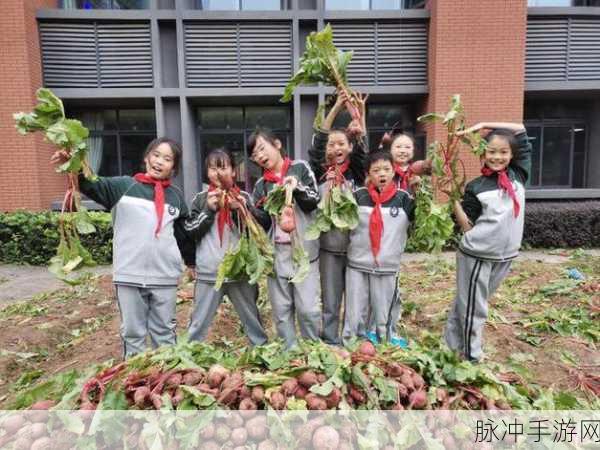 两人在室内拨萝卜的软件：室内趣味活动：两人携手共拨美味萝卜