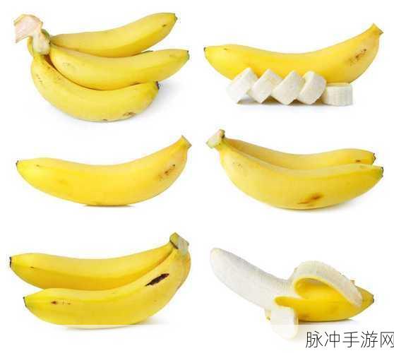 香蕉视频。：探索香蕉视频：趣味与创意的无尽世界