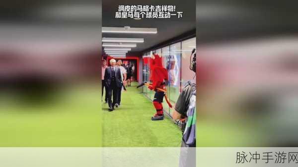 17.c黑料：“深度解析17.c黑料背后的真相与影响”